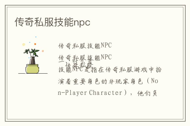 传奇私服技能npc